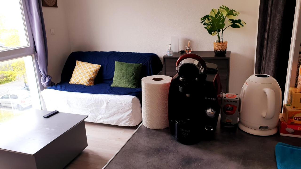 Studio Individuel - Le Musset & Parking Gratuit Devant L'Immeuble Leilighet Grenoble Eksteriør bilde